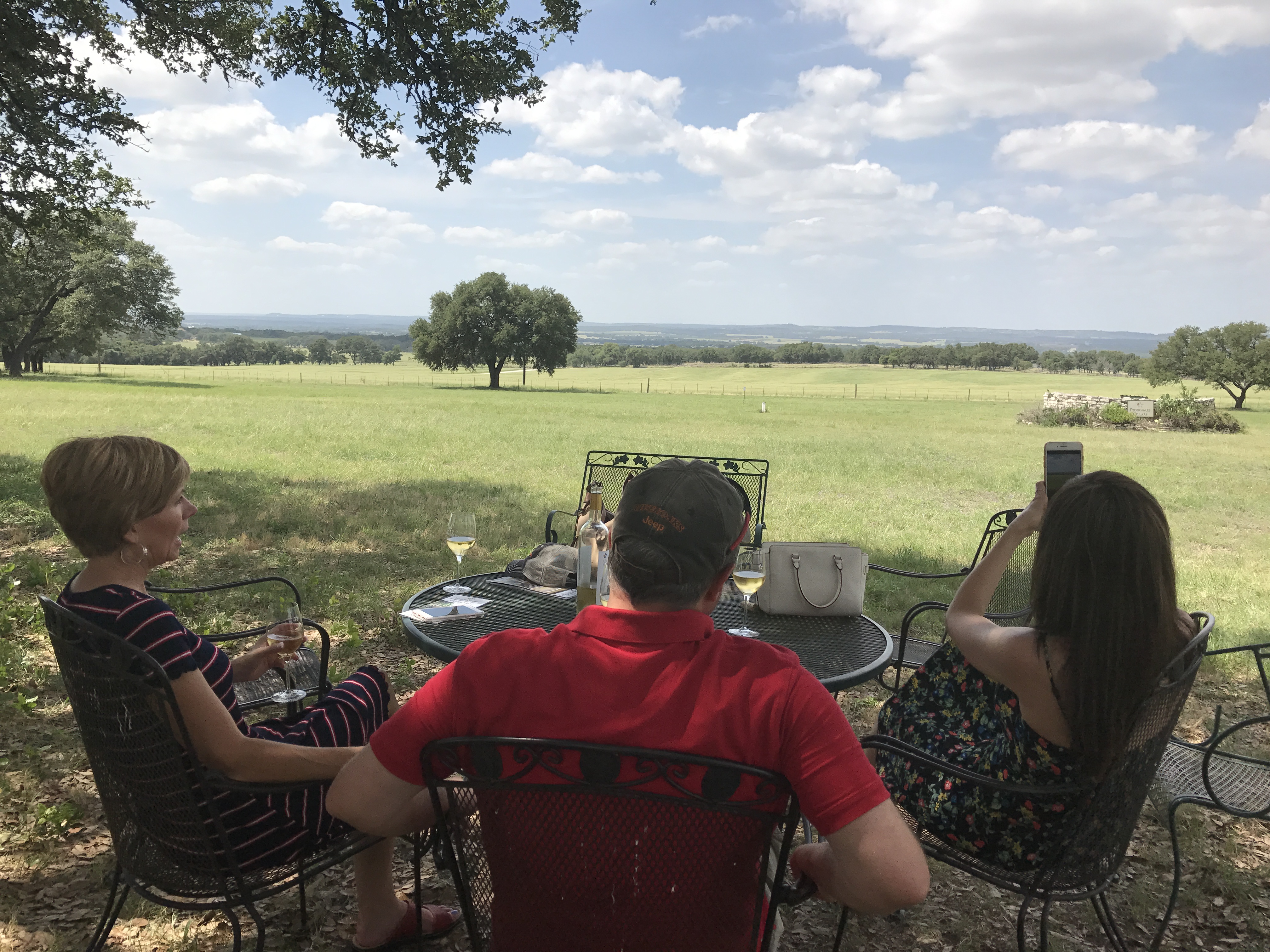 Hill Country Wines